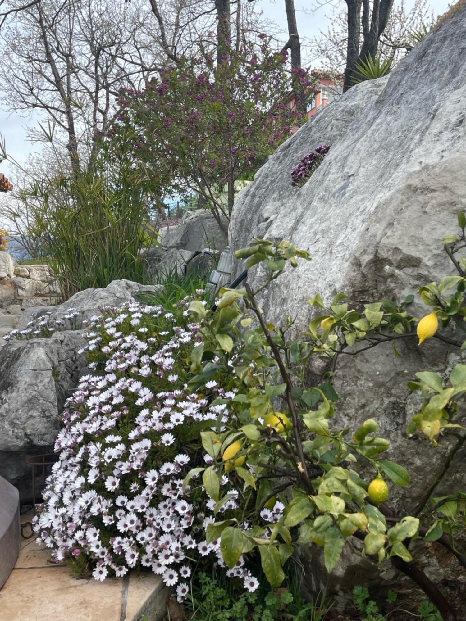 Rez De Jardin, Entre Mer Et Montagne Levens Екстериор снимка