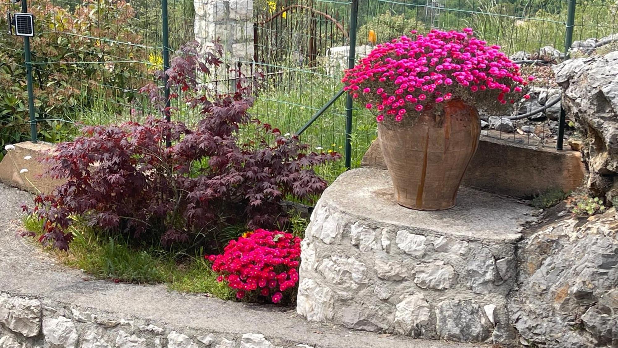 Rez De Jardin, Entre Mer Et Montagne Levens Екстериор снимка